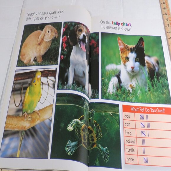 Graph It BIG BOOK (almost 2 feet tall) with teacher pages  CLASSROOM SIZE - Picture 11 of 16